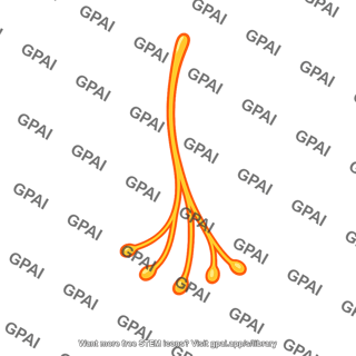 Thermal receptor
