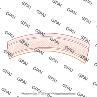 Glomerular membrane