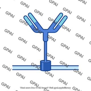 Antigen specific receptor