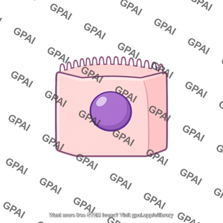 Thyroid cell
