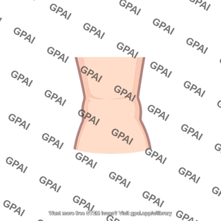 Human torso midsection