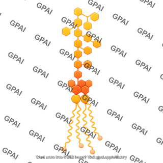 Lipopolysaccharide 2