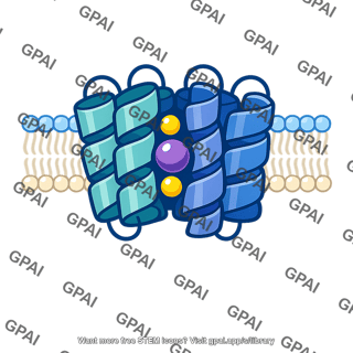 Sodium iodide symporter