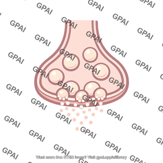 Presynaptic terminal secreting