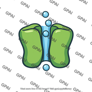 Calcium ion channel open