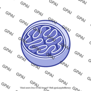 Mitochondrion globular