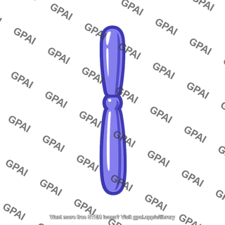 Chromatid