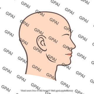 Head profile