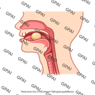 Swallowing