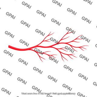 Retinal vessel