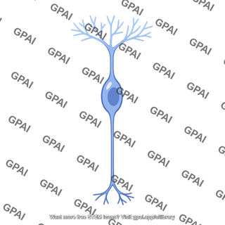 Hyperpolarizing bipolar cell