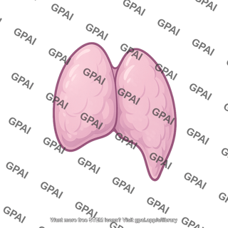 Thymus