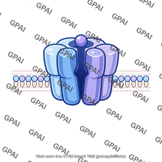 Neurotransmitter receptor