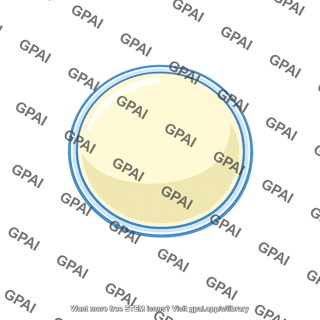 Vacuole