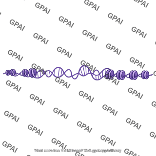 Chromosome decompacted