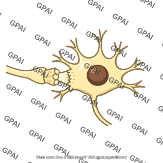 Subsequent neuron