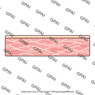 Skin dermis