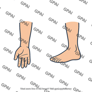 Limb distal segment