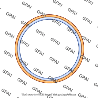 Circle membrane bilayer large