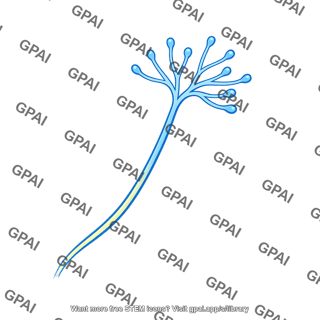 Cold receptor
