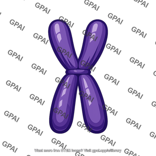 Chromosome condensed
