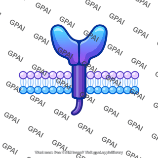 Receptor protein