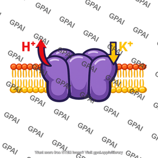 Hydrogen potassium pump