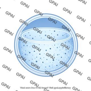 Vesicle large stage 5 filled