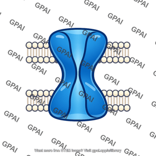 Water channel aquaporin