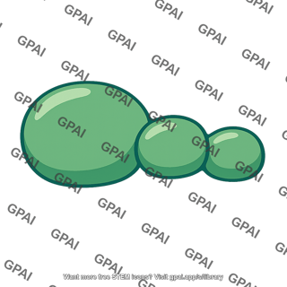 Stimulatory g protein