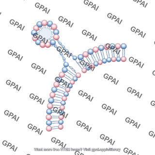 Membrane budding quarter circle membrane small vesicle
