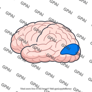 Visual area