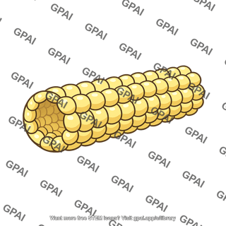 Corn cob