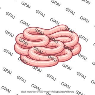 Ileum coiled
