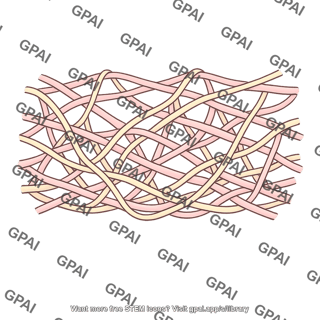 Vascular extracellular matrix
