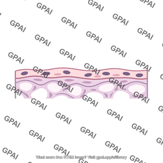 Germinal epithelium atrophied
