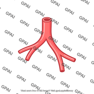 Peripheral blood vessel