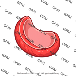 Ventricle right