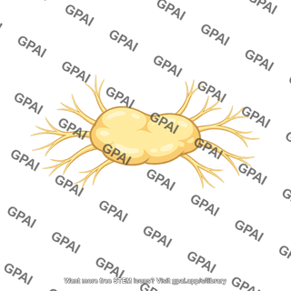 Celiac ganglion