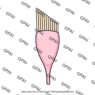Hair comb