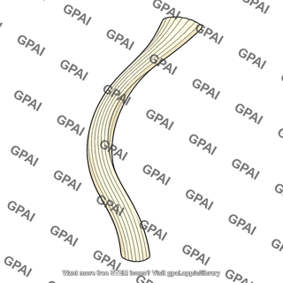 Nerve fiber bundle