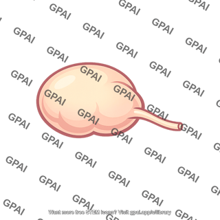 Bulbourethral gland