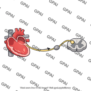 Atrial volume reflex