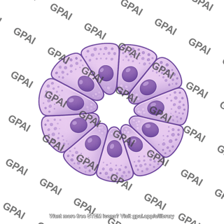 Serous gland brush
