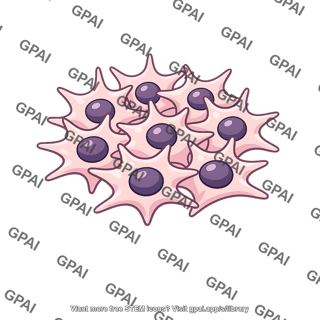 Mesangial cell proliferating