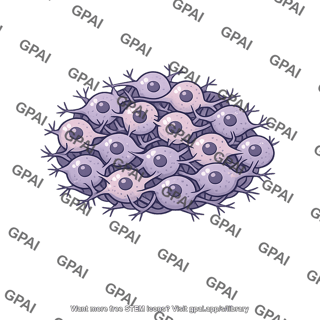 Neuron cluster