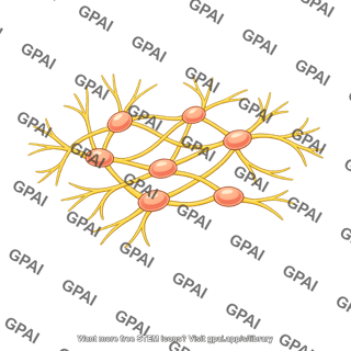 Local nerve plexus