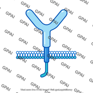 Membrane receptor protein