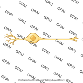 Pain receptor neuron