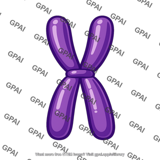 Chromosome duplicated